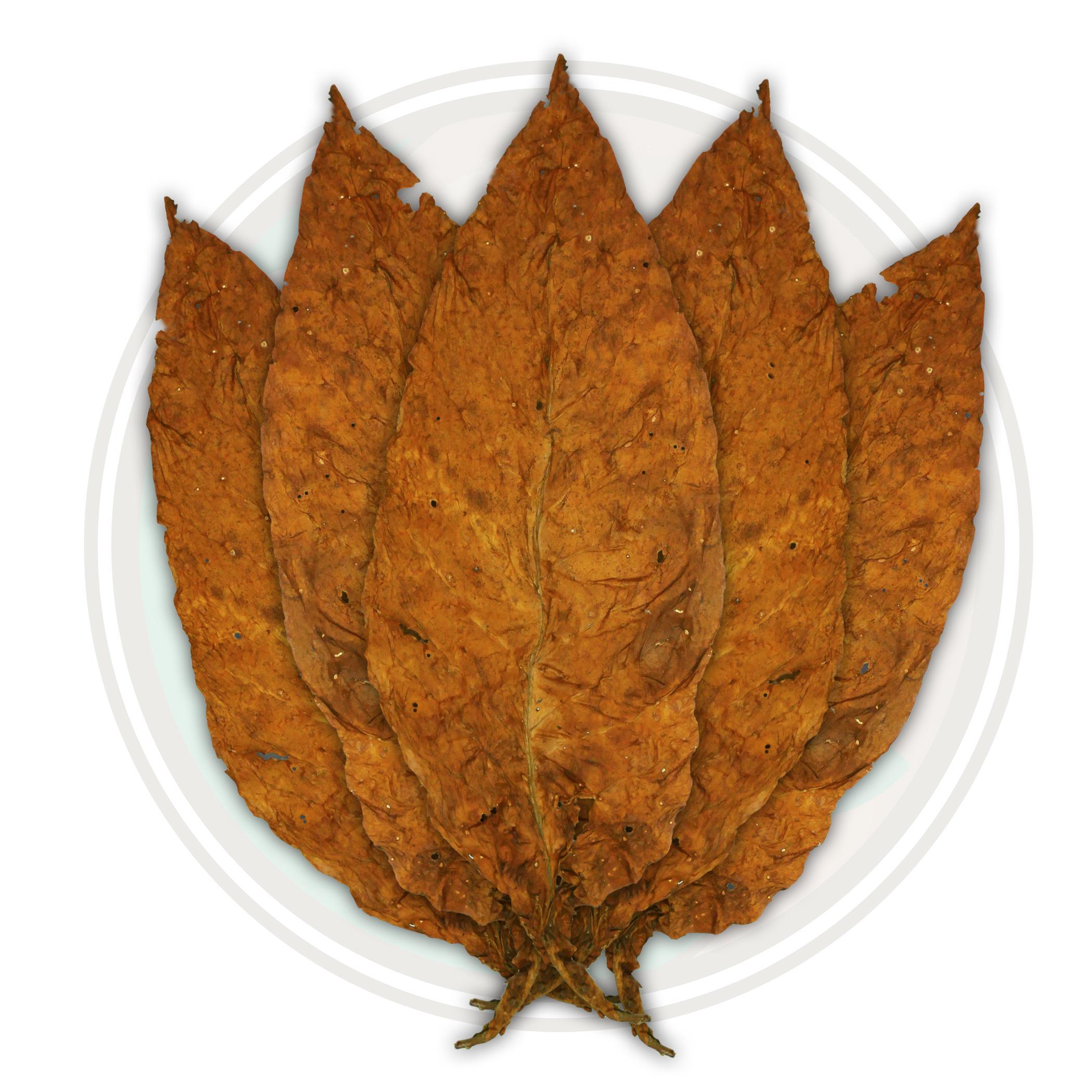 American Virginia Flue Cured Robust Tobacco Leaf American Virginia Flue Cured Robust Tobacco Leaf